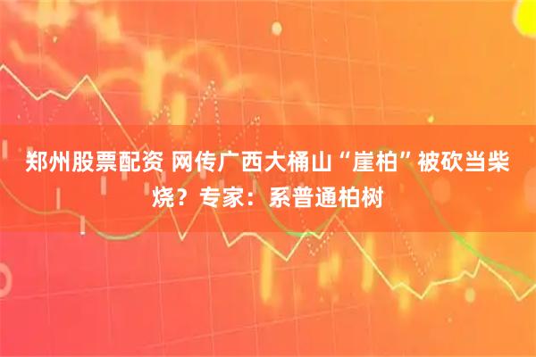 郑州股票配资 网传广西大桶山“崖柏”被砍当柴烧？专家：系普通柏树